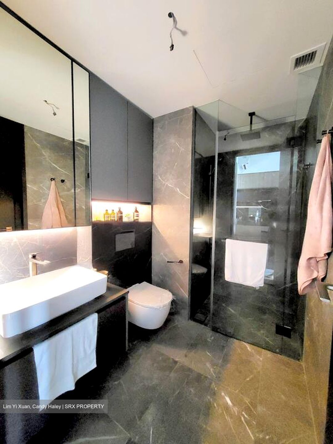 Irwell Hill Residences (D9), Apartment #471678851